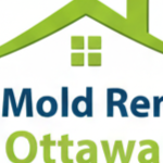 Attic Mold  Removal Ottawa