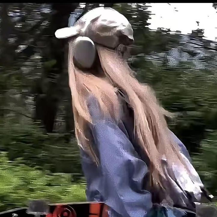ApexVanguard ApexVanguard